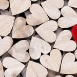 introduction-to-compassion