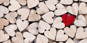 introduction-to-compassion
