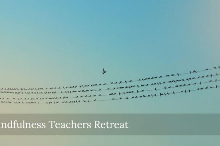 mindfulness-teachers-retreat