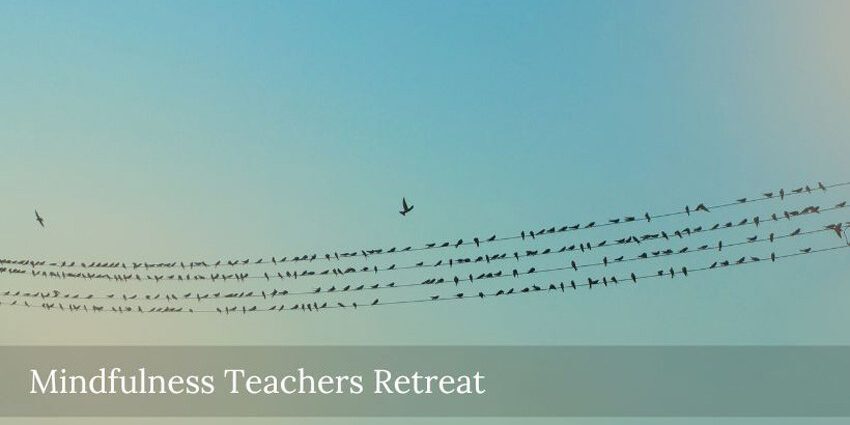 mindfulness-teachers-retreat