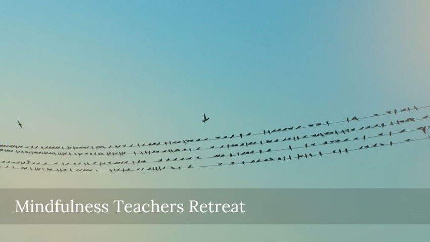 mindfulness-teachers-retreat