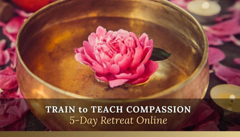 train to teach compassion online new