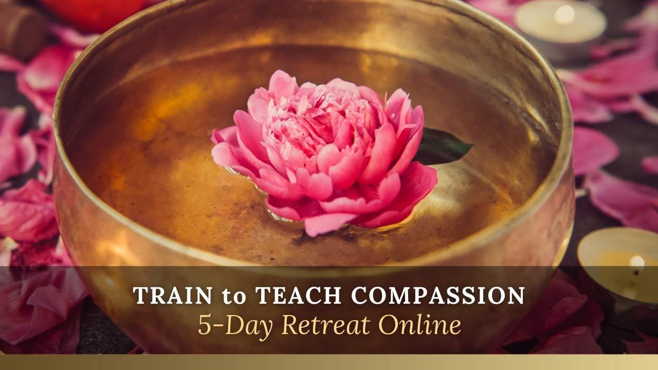 train to teach compassion online new