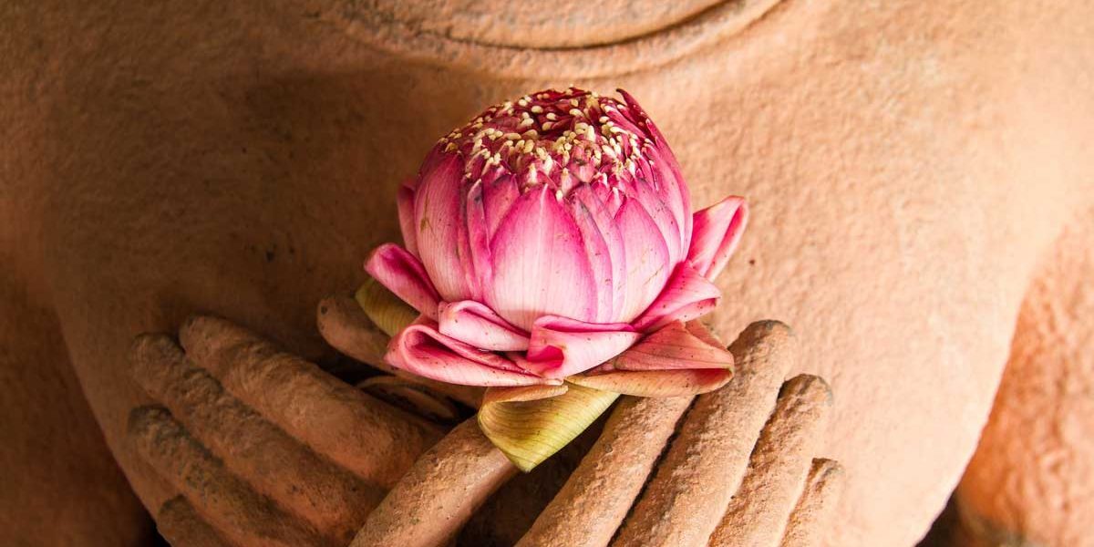 Compassion---the-path-blog