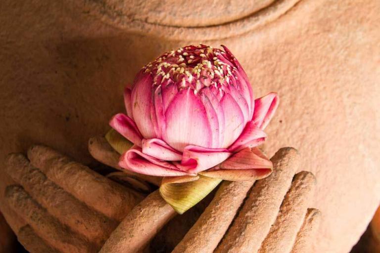 Compassion---the-path-blog