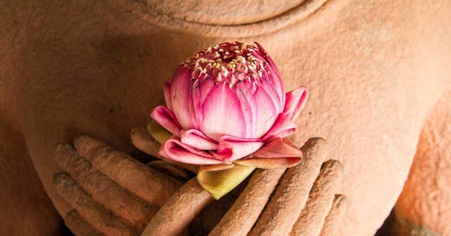 Compassion---the-path-blog