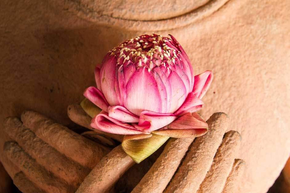 Compassion---the-path-blog