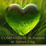 COMPASSION IN NATURE