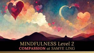 Mindfulness Level 2 – Compassion