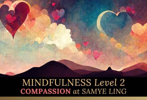 Mindfulness Level 2 – Compassion