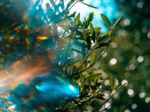 Release – Julia Fehrenbacher