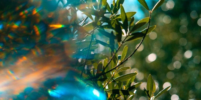 Release – Julia Fehrenbacher