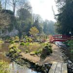 Mindfulness in Nature