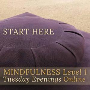 MINDFULNESS-LEVEL-1-BEING-PRESENT-TUESDAY-EVENINGS