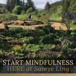 MINDFULNESS IN NATURE INTRODUCTION WEEKEND