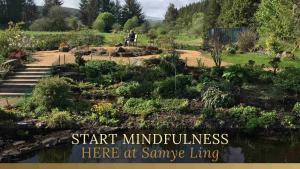 MINDFULNESS IN NATURE INTRODUCTION WEEKEND