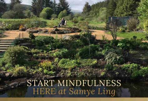 MINDFULNESS IN NATURE INTRODUCTION WEEKEND