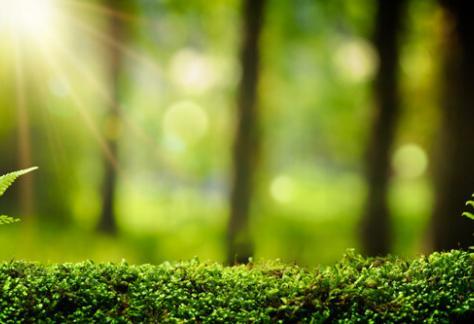 Mindfulness meets nature