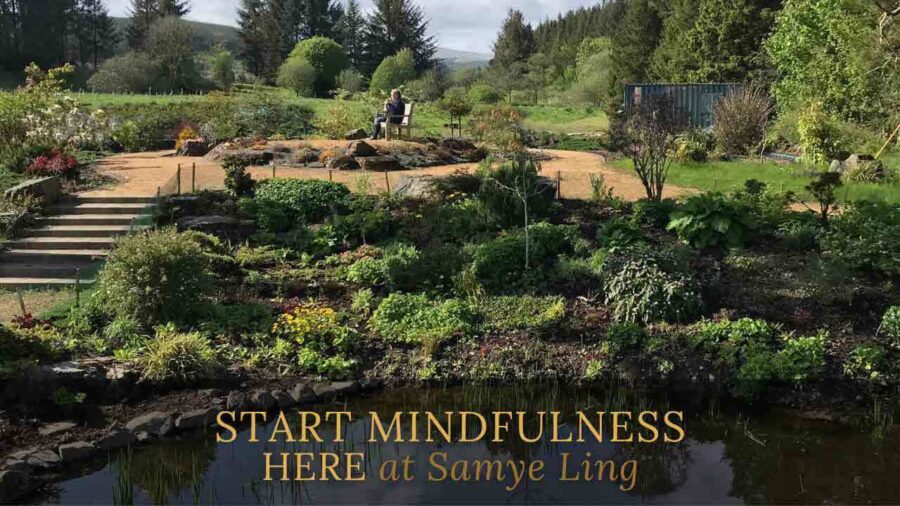 MINDFULNESS-LEVEL-1-INTRODUCTORY-WEEKEND MINDFULNESS-LEVEL-1-INTRODUCTORY-WEEKEND