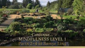 Mindfulness Level 1- Parts Two To Four