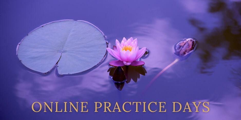 Online practice days