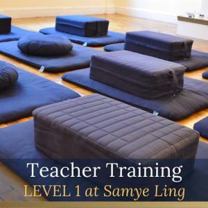 train to teach level one at samye ling