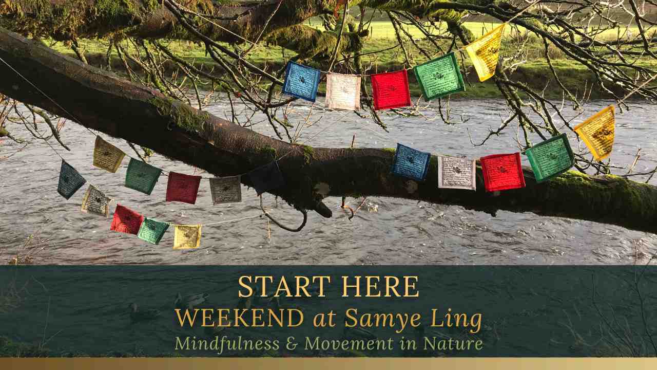 Mindfulness and movement in nature