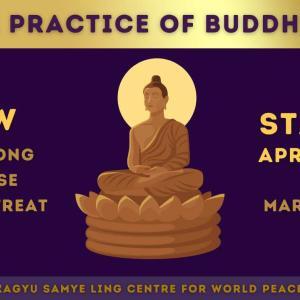 THE-PRACTICE-OF-BUDDHISM-IMAGE