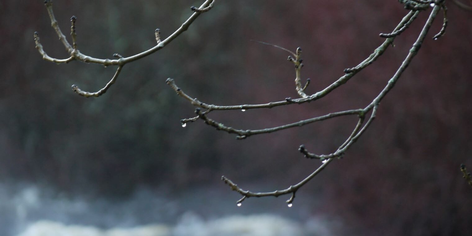 Give up the fight – Gretchen Haley Give up the fight - Gretchen Haley