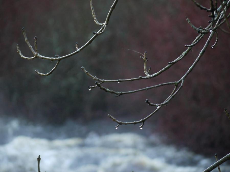 Give up the fight - Gretchen Haley