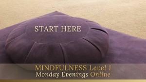 Mindfulness Level 1