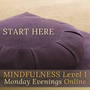Mindfulness Level 1