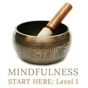 NEW MINDFULNESS LEVEL 1