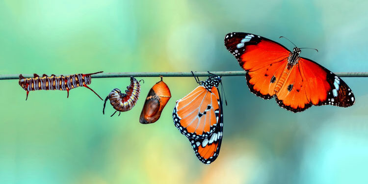 mindfulness-based-healthy-living mindfulness-based-healthy-living