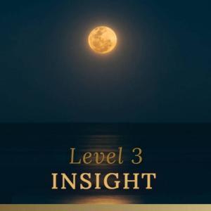 mindfulness level 3 insight