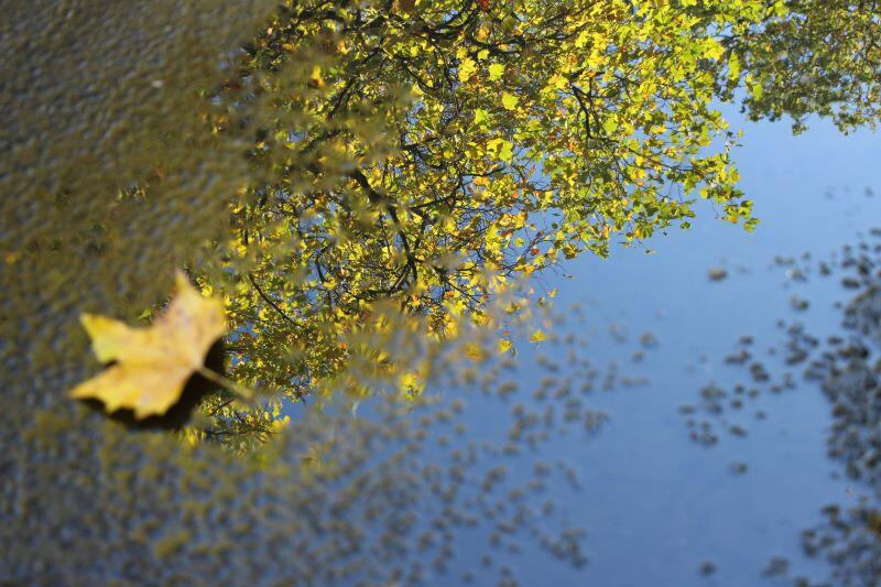 Clarity - Martin Bril