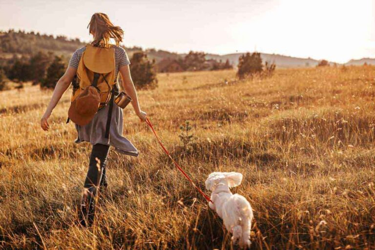 A-Few-Words-on-Living-Well-to-Die-Well