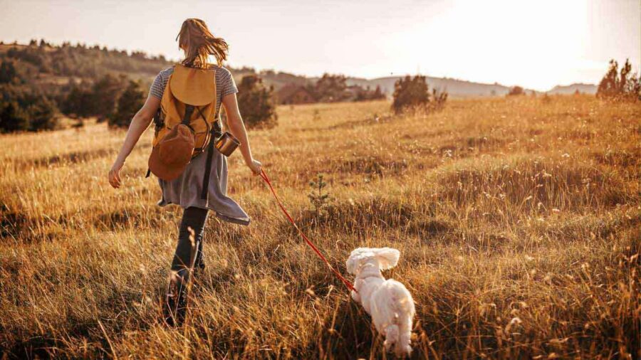 A-Few-Words-on-Living-Well-to-Die-Well