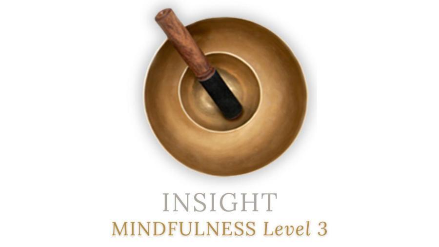 INSIGHT MINDFULNESS LEVEL 3 INSIGHT MINDFULNESS LEVEL 3