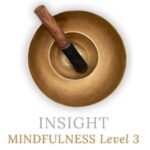 INSIGHT MINDFULNESS LEVEL 3