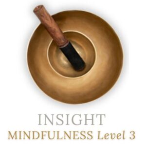 INSIGHT MINDFULNESS LEVEL 3