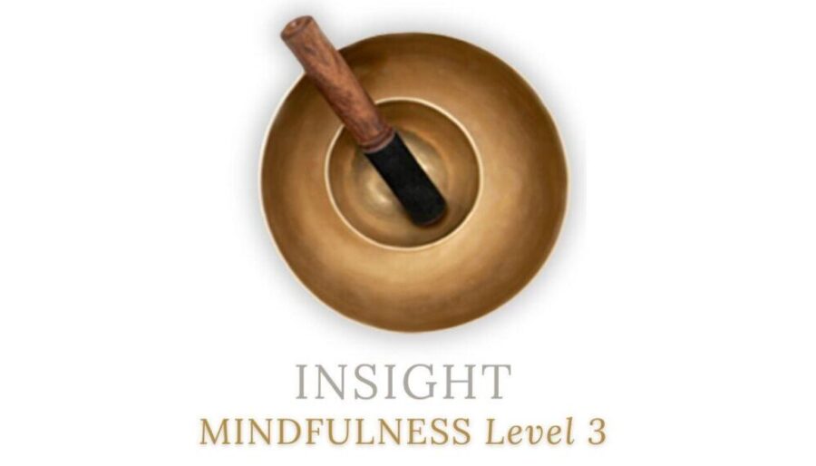INSIGHT MINDFULNESS LEVEL 3