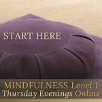 Mindfulness Level 1 ~ Online Thursday Evenings