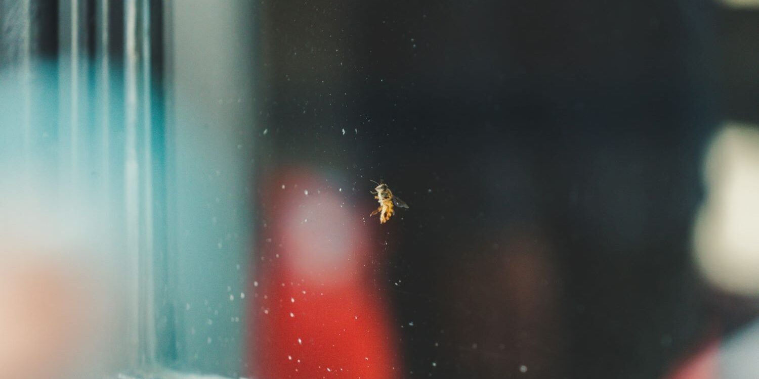 At the Teahouse, 6 am - Holly J. Hughes