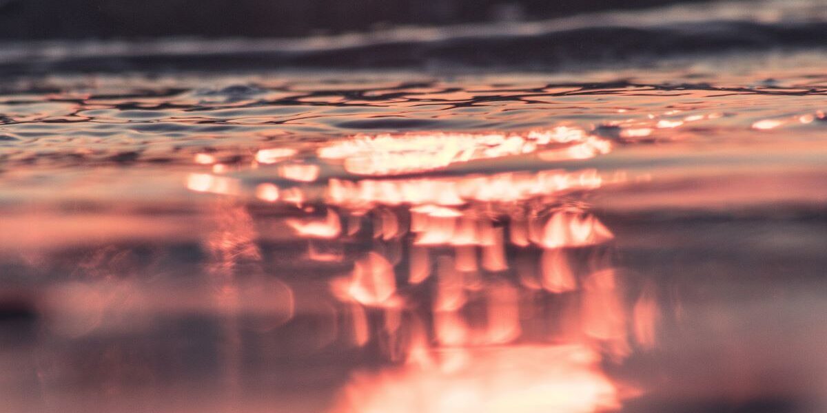 What You Missed That Day You Were Absent from Fourth Grade - Brad Aaron Modlin