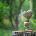 compassion-in-nature-26
