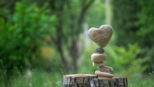 compassion-in-nature-26
