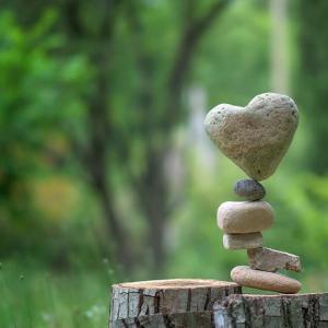 compassion-in-nature-26