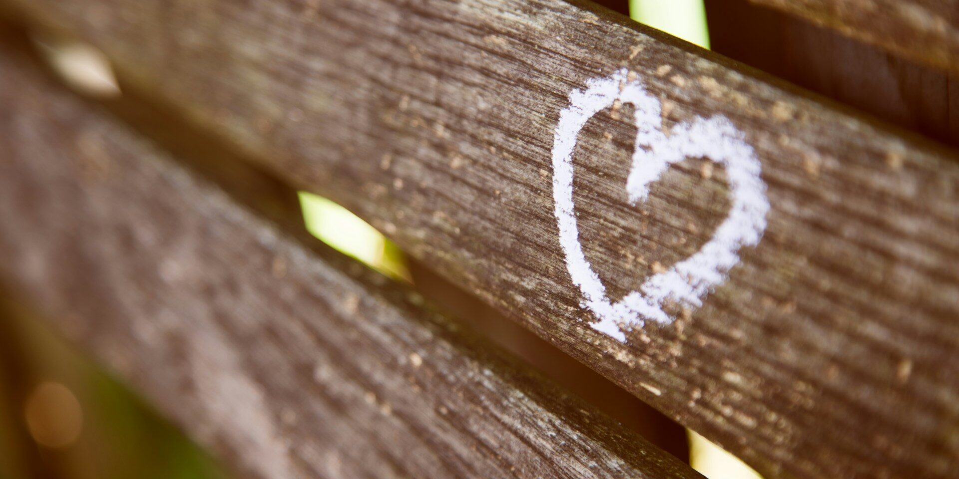 Just a day - Donna Ashworth