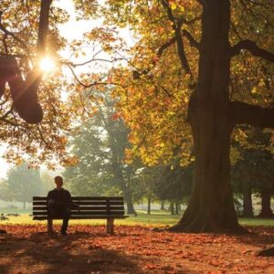 Poetry Day